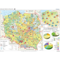 Plansza ścienna  Rolnictwo w Polsce - uprawy i struktura użytkowania ziemi 160X120 1:650000