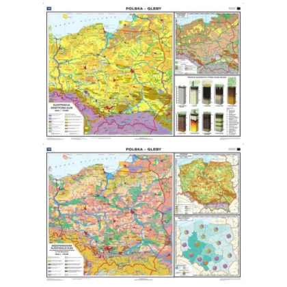 Mapa ścienna Nowa Era Polska. Gleby