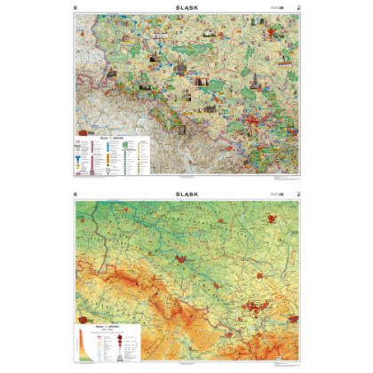 Mapa ścienna Nowa Era Śląsk Mapa regionalna ogólnogeograficzna/krajobrazowa