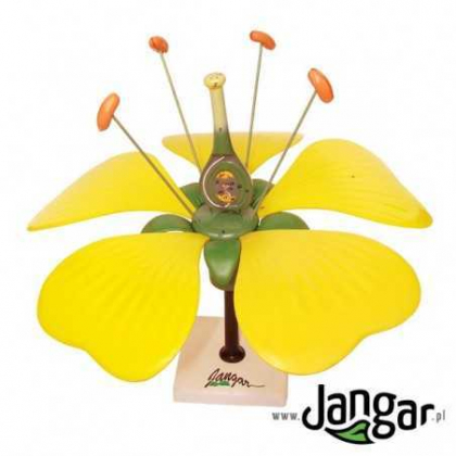 Pomoc dydaktyczna Jangar Model kwiatu z zalążnią i zalążkiem