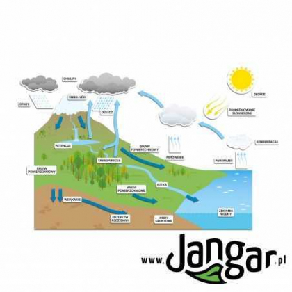 Pomoc dydaktyczna Jangar Obieg wody w przyrodzie, magnetyczny na tablicę