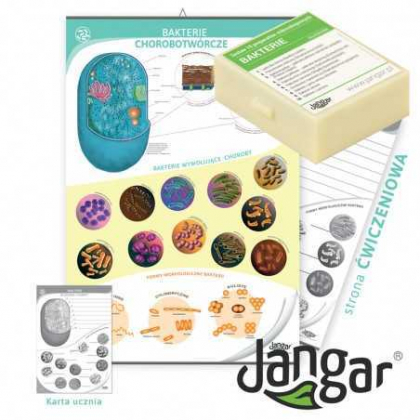 Zestaw edukacyjny Jangar Bakterie z pisakiem suchościeralnym i zestawem preparatów