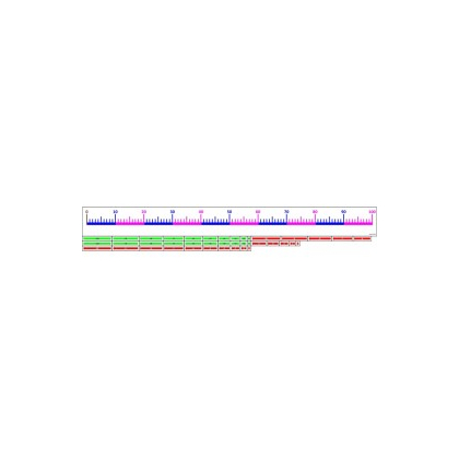 Plansza magnetyczna Kera Magnetyczna oś liczbowa - gigant