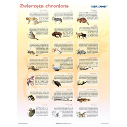 Plansza ścienna  Zwierzęta chronione w Polsce 90X120