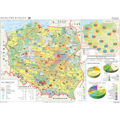 Plansza ścienna  Rolnictwo w Polsce - uprawy i struktura użytkowania ziemi 160X120 1:650000