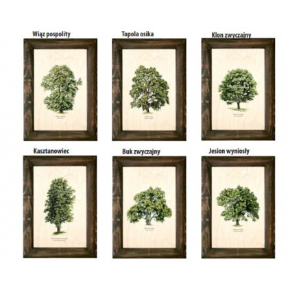 Obraz Puls-art Galeria drzew na drewnie 25,5x35,5cm